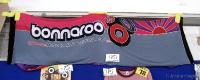 Bonnaroo Banner 
